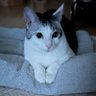 kayo profil fotoğrafı