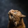 Фото профиля Delois Winstead