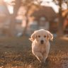 Brendin Vladimir profil fotoğrafı