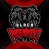 Фото профиля BlackPhoenix843