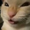 Profilbild von d