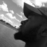 Фото профиля Pfuko_Addict 🇿🇼