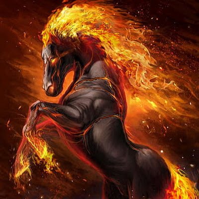 Learninglef's profile picture