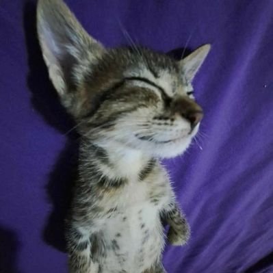 zary's profile picture