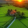 Фото профиля laxman 123