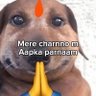 Siddha Siṃha's profile picture