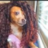 Profilbild von Steve Ntshweng