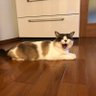 もな太郎 的头像