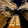 Фото профиля タダの人