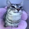 Tyson profil fotoğrafı