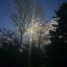 truthsocial's profile picture