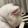 Profilbild von Andrew