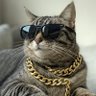 Vivian_lau🇭🇰 profil fotoğrafı