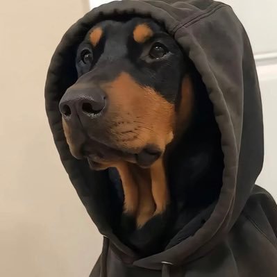 btcergou's profile picture