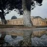 Фото профиля زَهــرٓاء