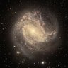 ‏Starbound Cities's profile picture