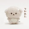 いしよわこ profil fotoğrafı
