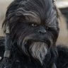 Drewbacca 的头像