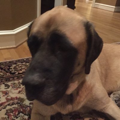 BillClog501's profile picture
