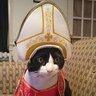 Фото профиля TradCat