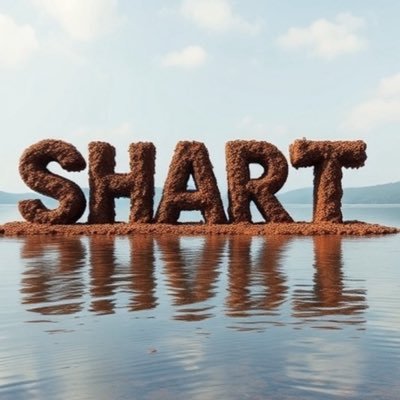 SHART_SOLANA's profile picture