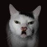 Adolf_Diddler. 的头像