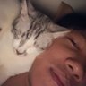 batagor's profile picture