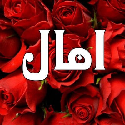 🦋أمال🦋 🇮🇶🇮🇷🇱🇧's profile picture