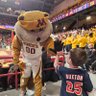 Rob Lien's profile picture