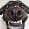 Фото профиля Ronnie
