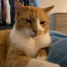 Profilbild von Andy