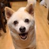 Profilbild von ちーやん