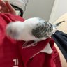 Фото профиля 毎日がエブリデイ