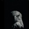 Profilbild von Michael Williams
