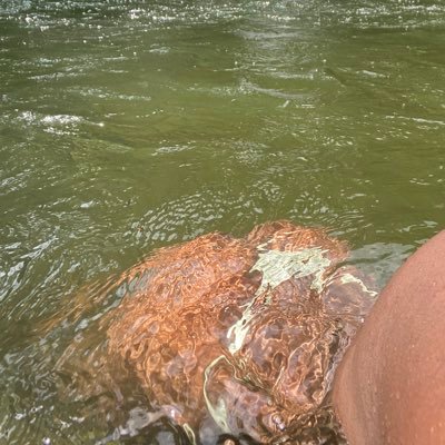 cumbotobumbo's profile picture
