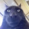 Profilbild von Caged