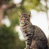 Yaritza Meta profil fotoğrafı