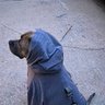 @ Crypto_Dog184's profile picture
