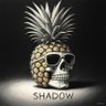 Shadows profil fotoğrafı