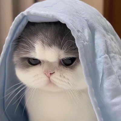 ตาแป๋ว แป๋ว 🍀💫's profile picture