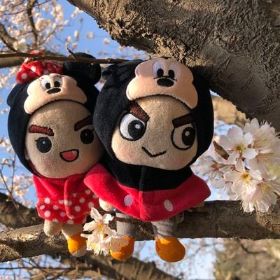Apple 🍎🍏's profile picture