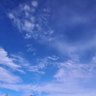 Фото профиля rosypdr8