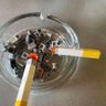 Kucing Jantan🚬's profile picture