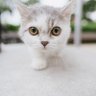 Фото профиля Eryn Ashley