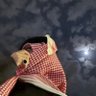 Profilbild von (DON) ABDULLAH