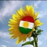 Fatê Esker's profile picture