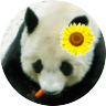 ゆえゆ profil fotoğrafı