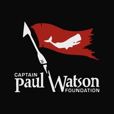 Captain Paul Watson Foundation 🐋🏴‍☠️'s profile picture