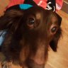 そうーちゃん's profile picture