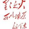 归来（互FO Follow back within eight hours） profil fotoğrafı